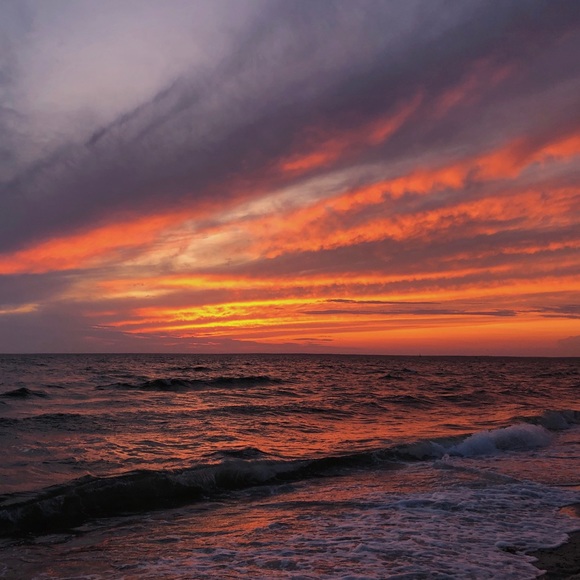 Meet your Posher, Gabby - Picture 1 of 1